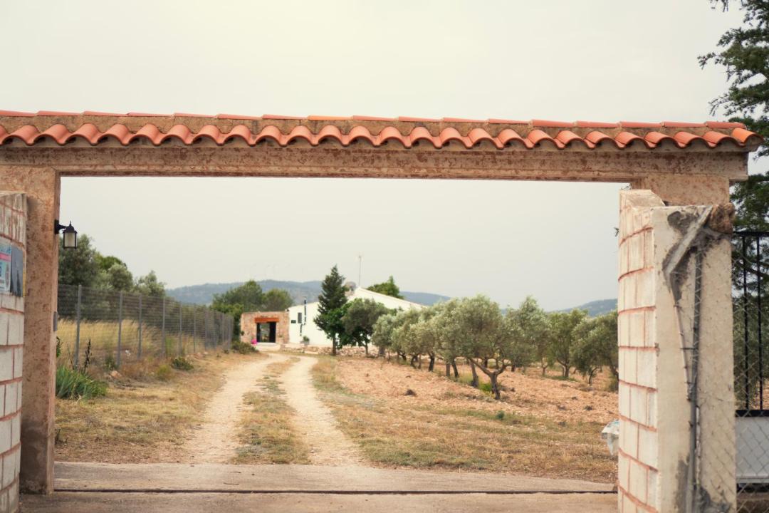 Photo of Others in Yecla