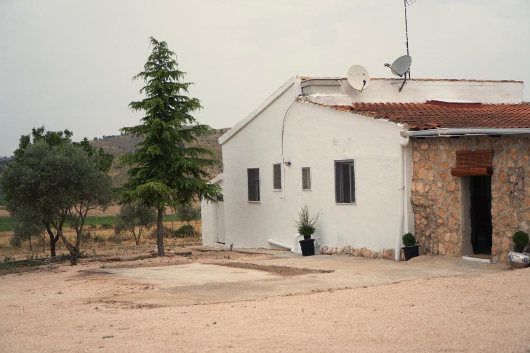 Photo of Others in Yecla