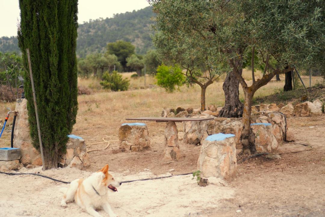Photo of Others in Yecla