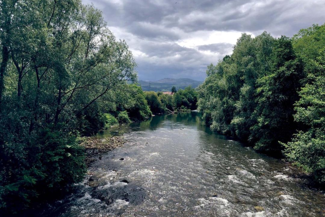 Photo of Others in Cartes