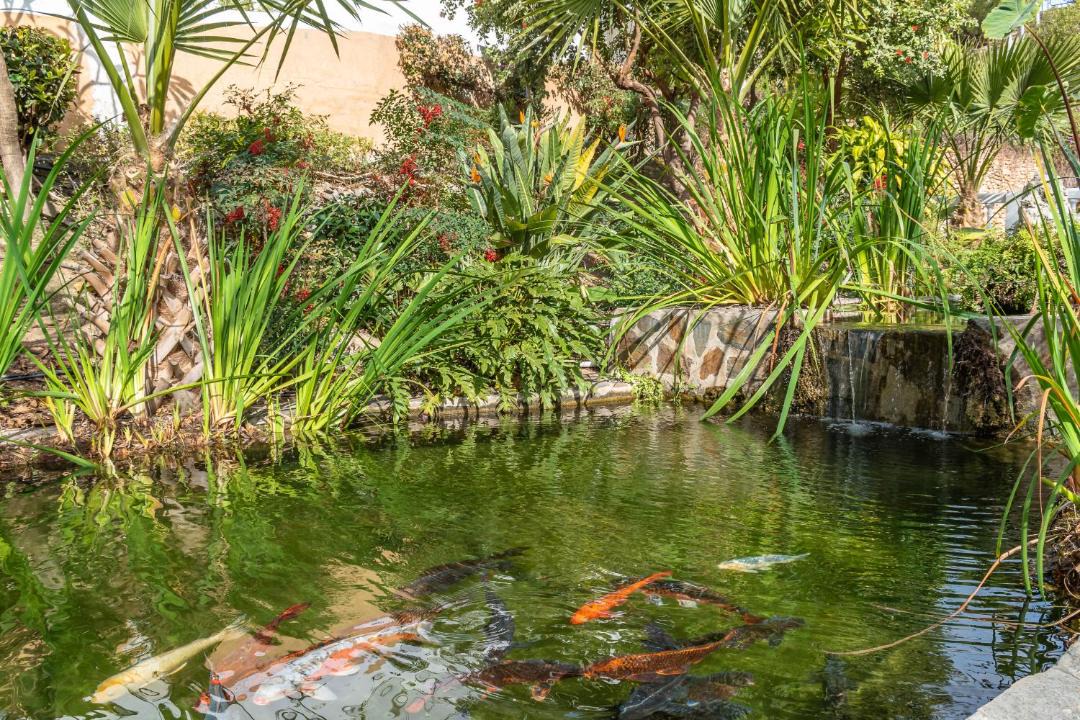 Photo of Others in Oasis del Capistrano