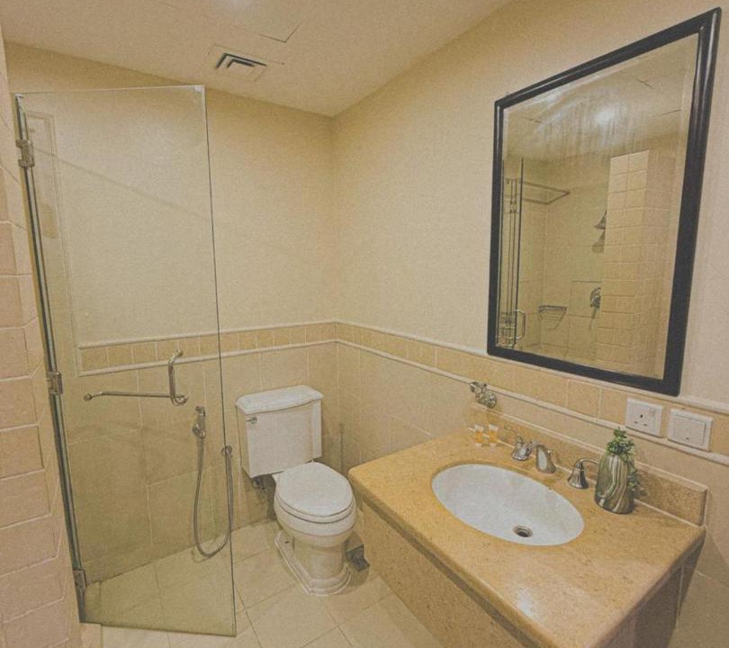 Photo of Bathroom in Mizail