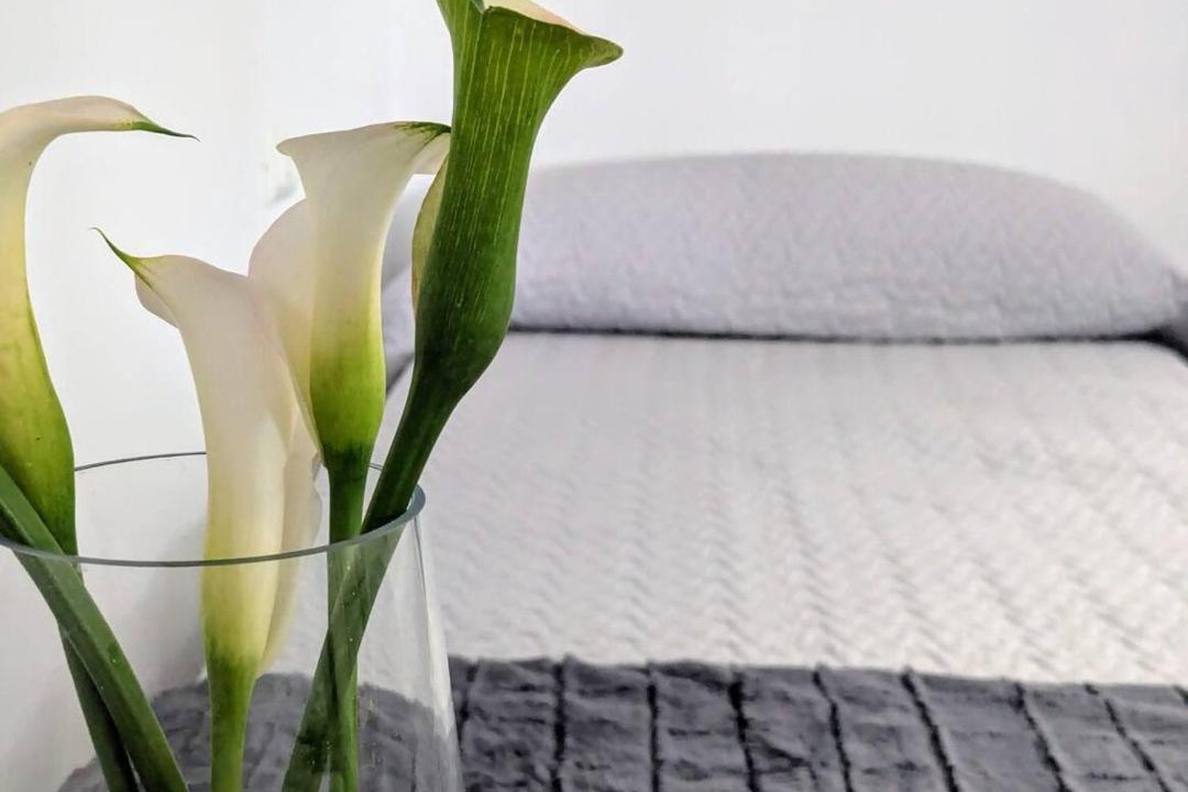 Photo of Bedroom in Barro