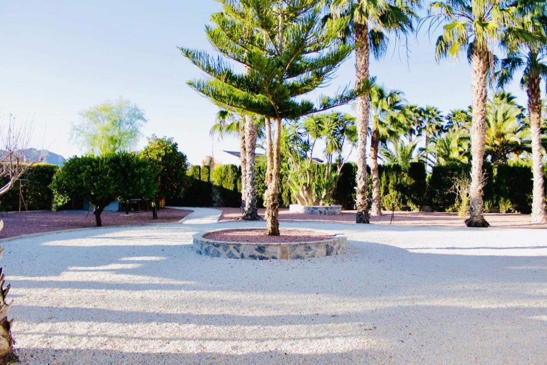 Photo of Outdoor in Quesada