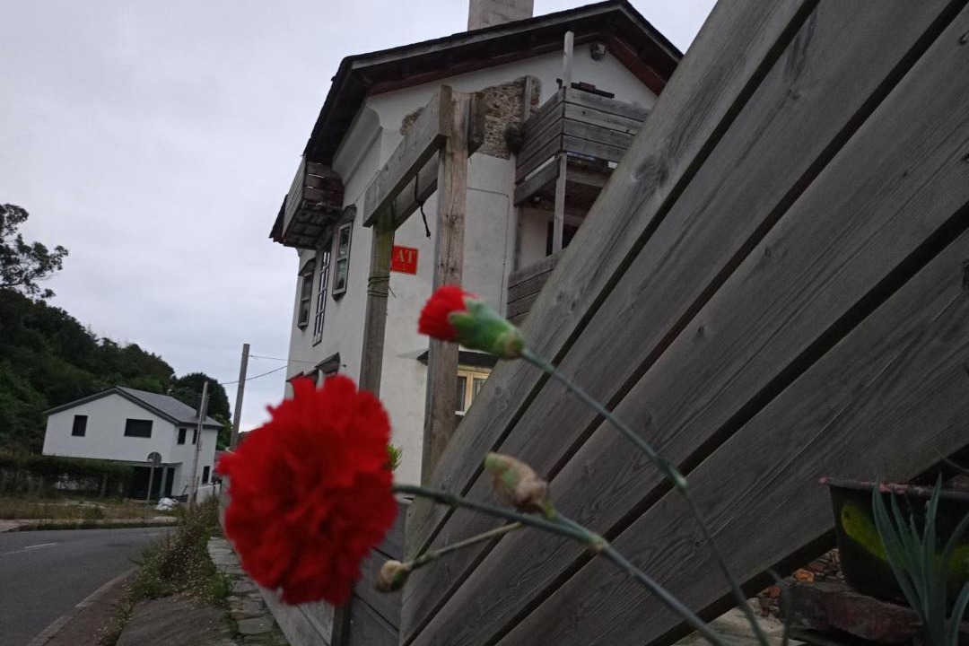 Photo of Others in Viavelez