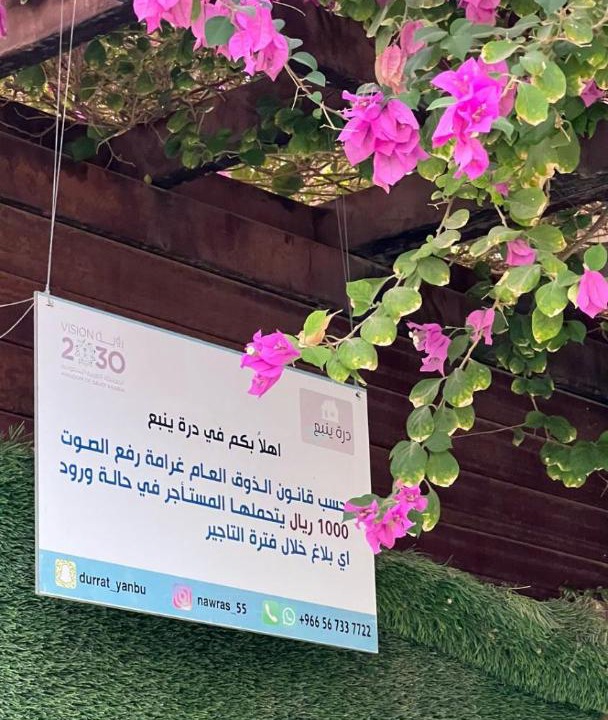 Photo of Others in Yanbu