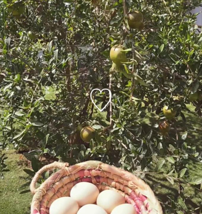 Photo of Outdoor in Abha