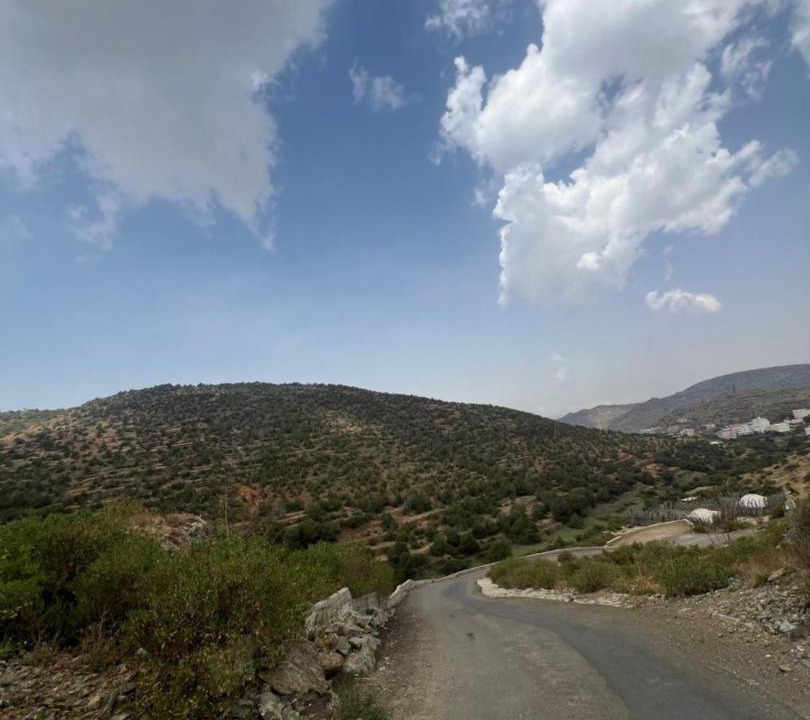 Photo of Others in Al Bahah