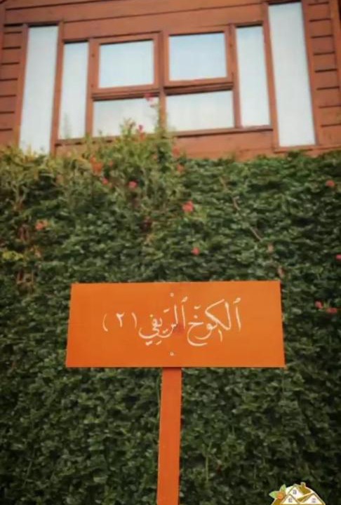 Photo of Others in Mizail