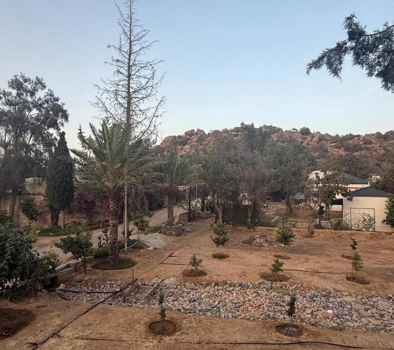Photo of Others in Taif