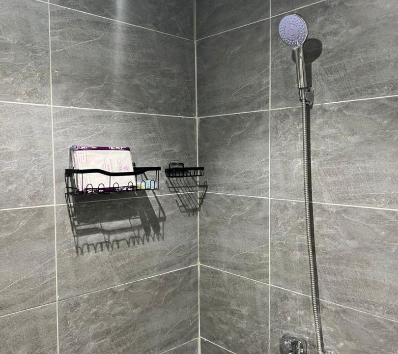 Photo of Bathroom in Mizail