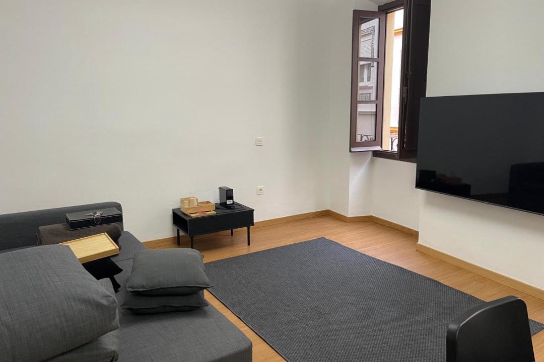 Photo of Livingroom in Triana
