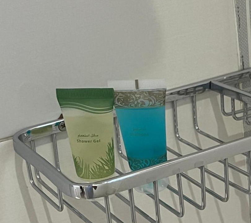 Photo of Bathroom in Mizail