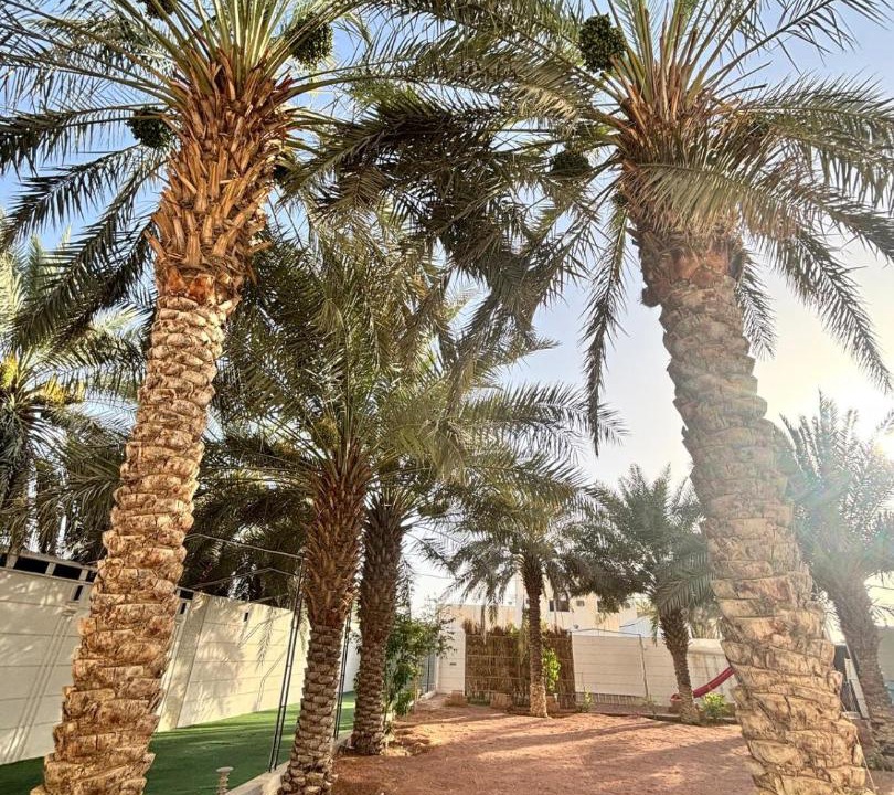 Photo of Others in Riyadh