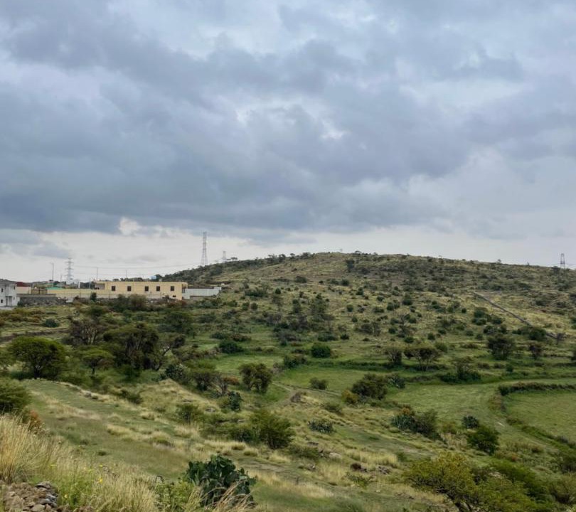Photo of Others in Abha