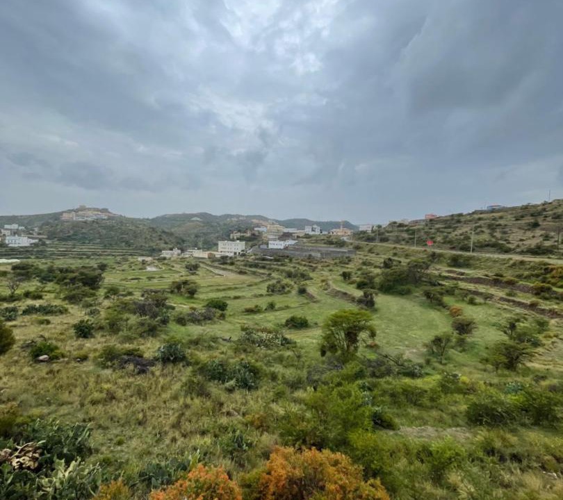 Photo of Others in Abha