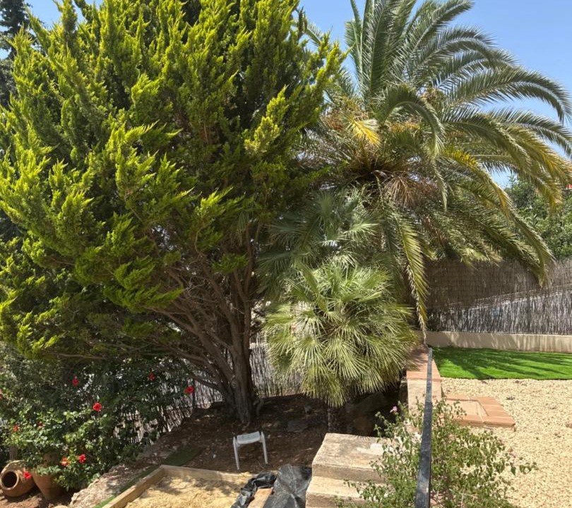 Photo of Others in Montgo de Toscamar