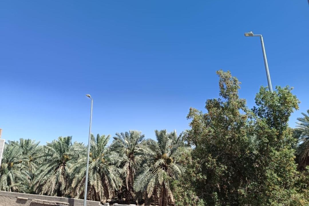 Photo of Others in Medina
