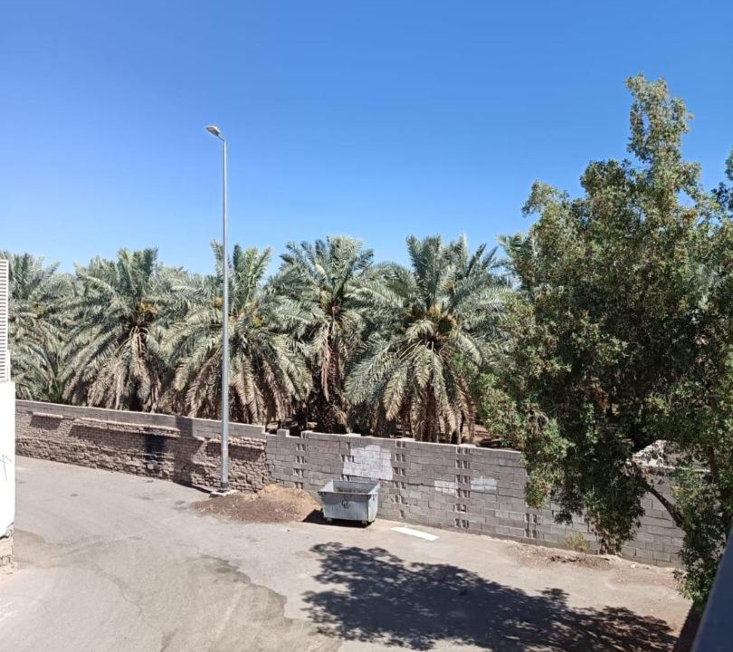 Photo of Others in Medina