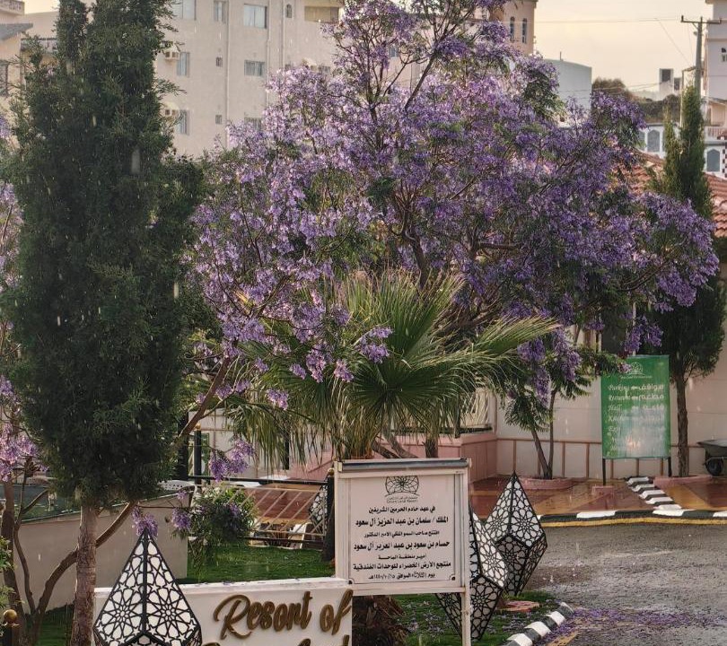 Photo of Others in Al Bahah
