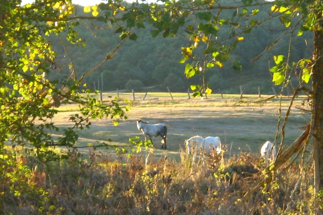 Photo of Others in Quintanaentello