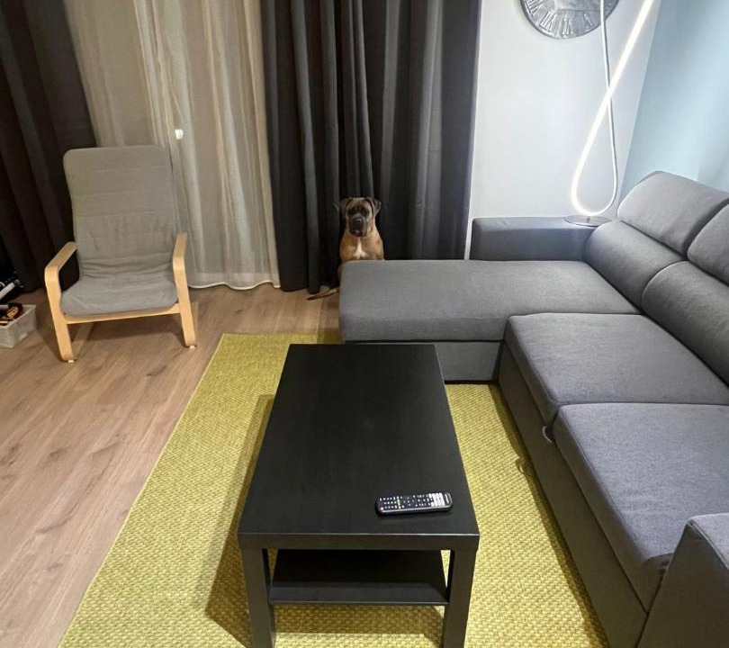 Photo of Livingroom in Alcala de Henares