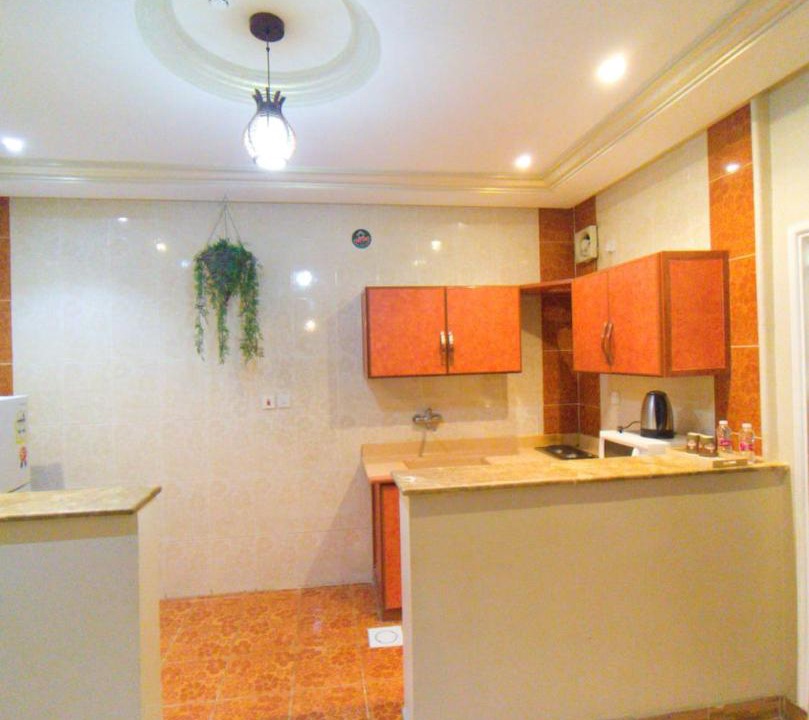 Photo of Kitchen in Sakaka