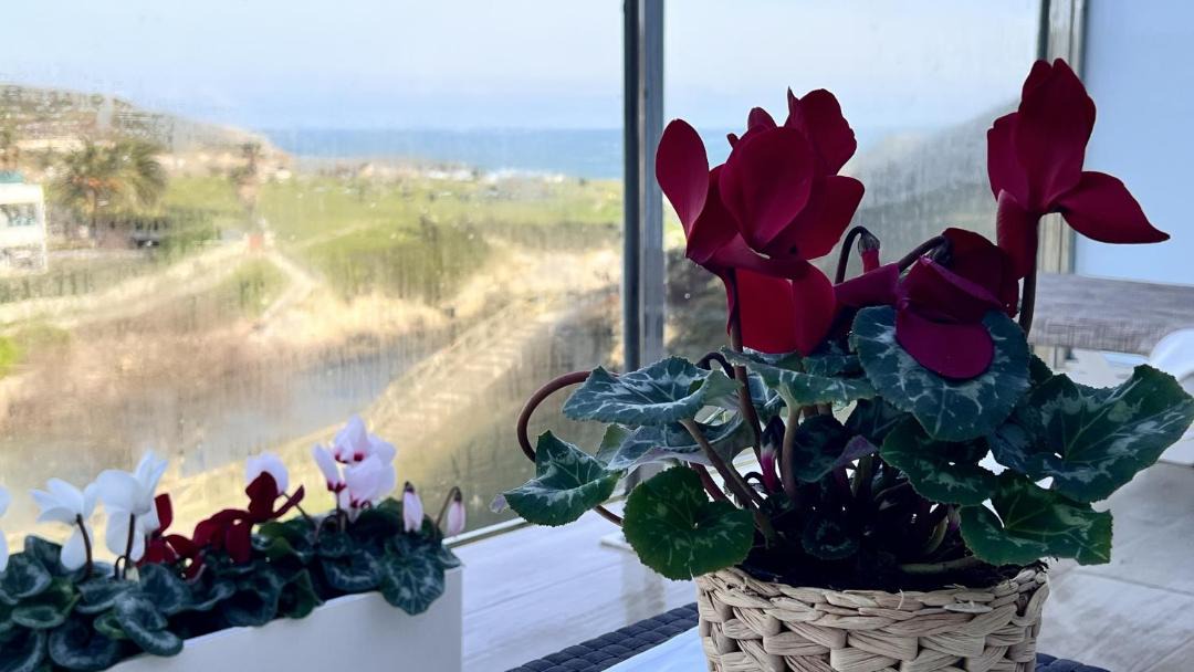 Photo of Patio Balcony in Soto de la Marina