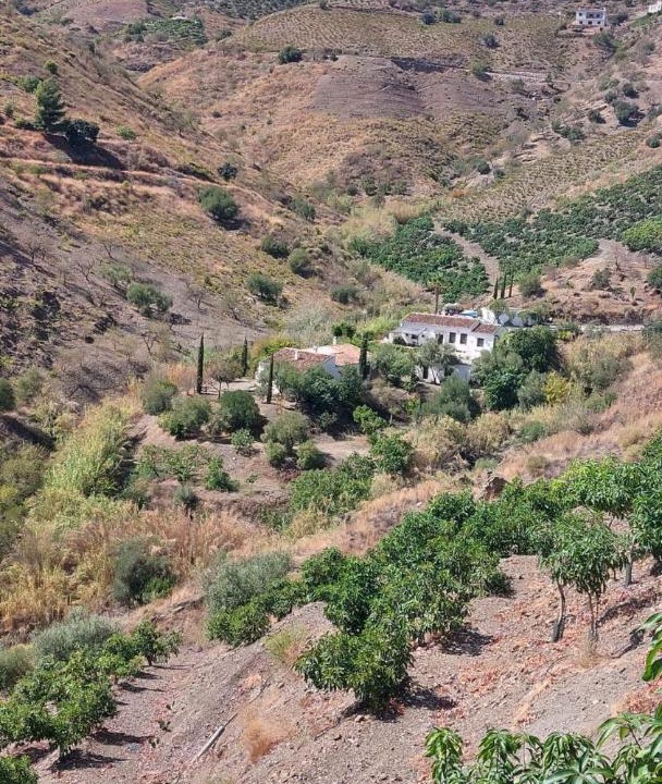 Photo of Others in El Borge