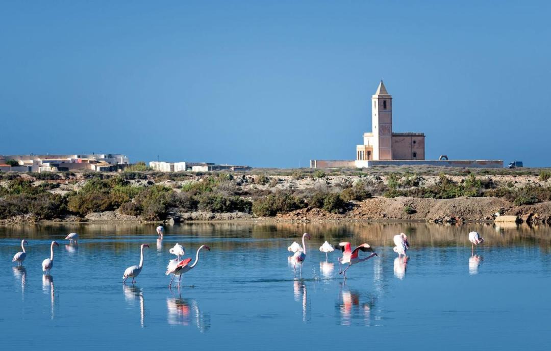 Photo of Others in Cabo de Gata