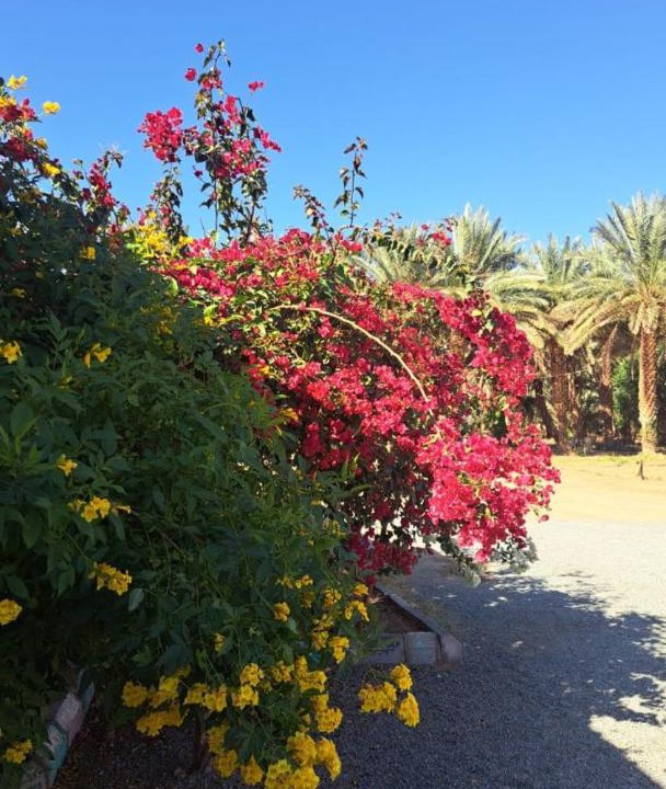 Photo of Outdoor in Western Province