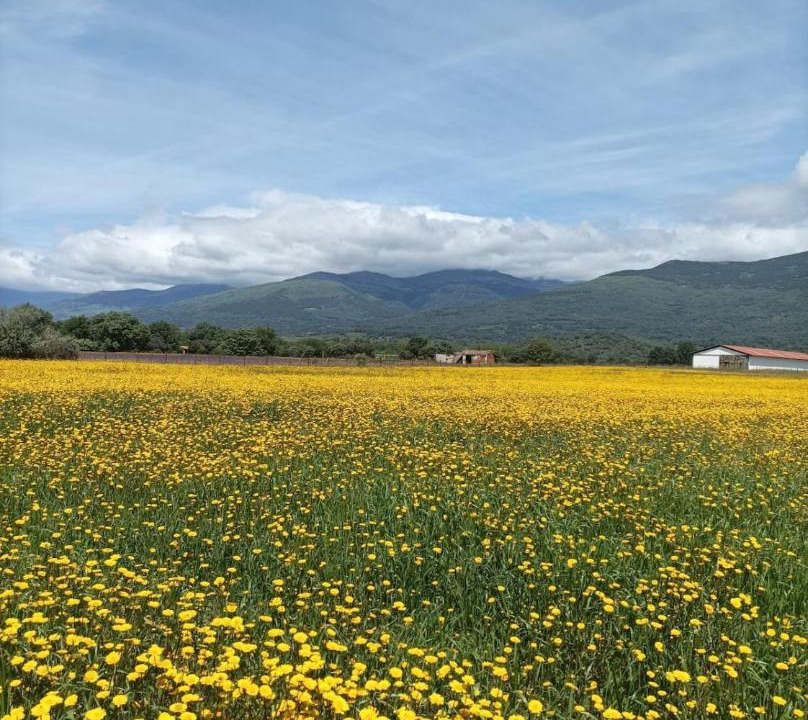 Photo of Others in Poyales del Hoyo