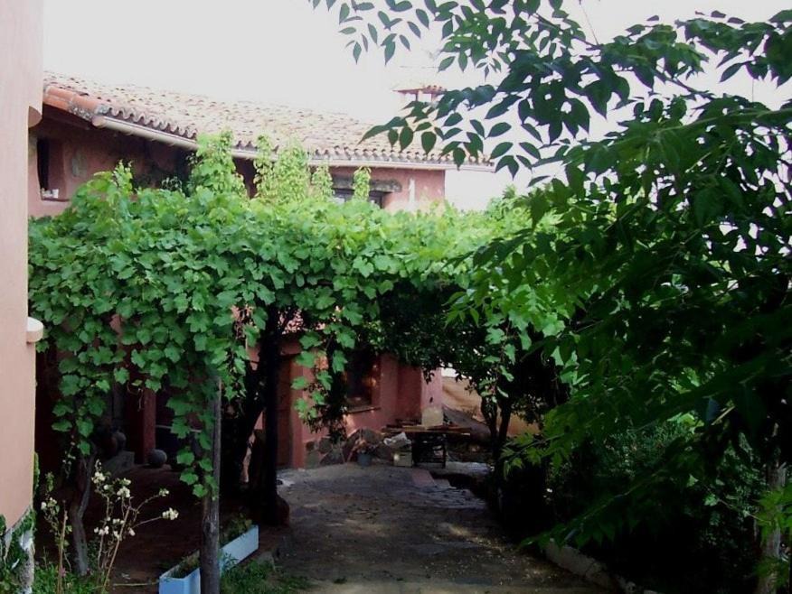Photo of Others in Poyales del Hoyo