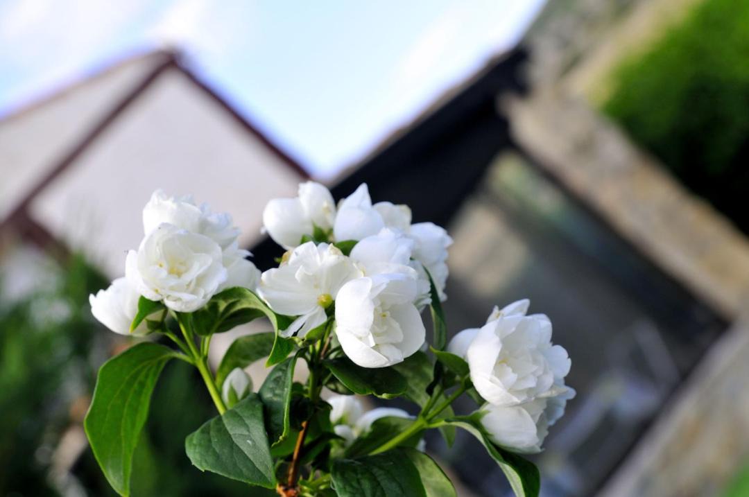 Photo of Patio Balcony in Munopepe