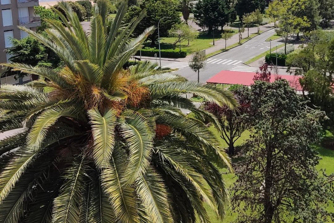 Photo of Others in Laredo