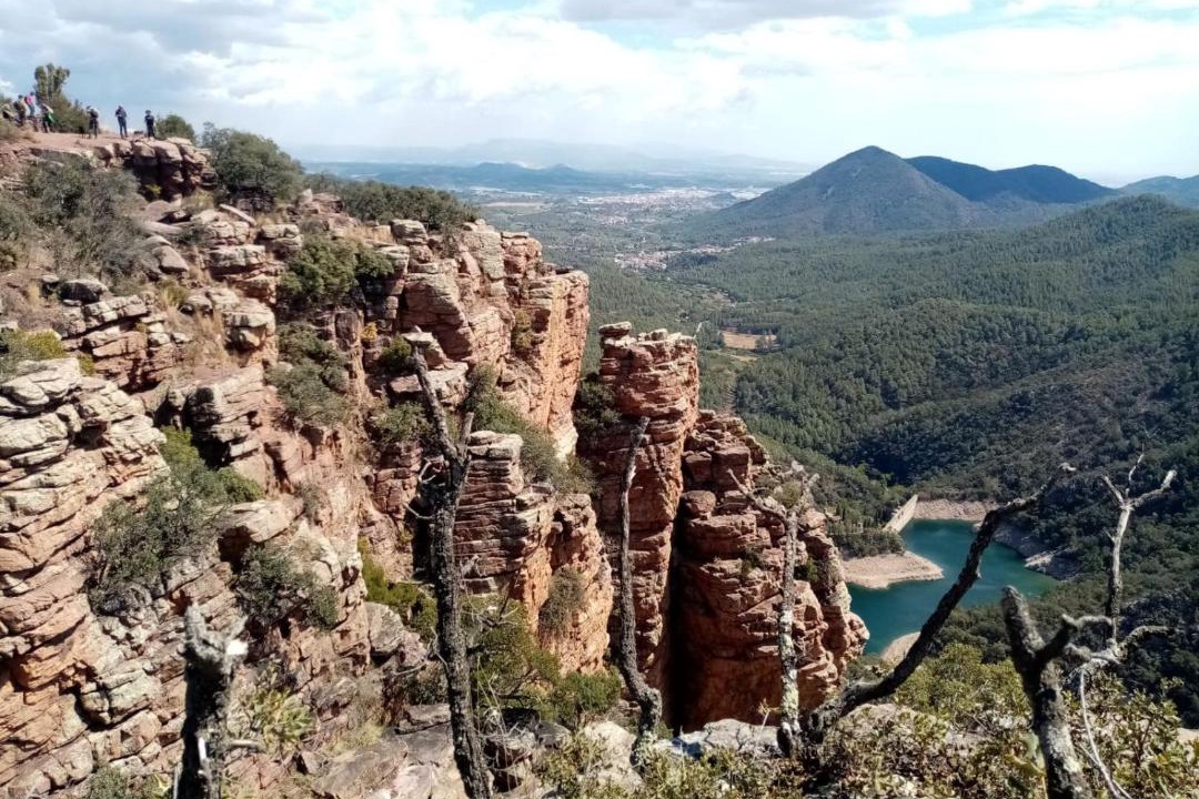 Photo of Others in Alcudia de Veo
