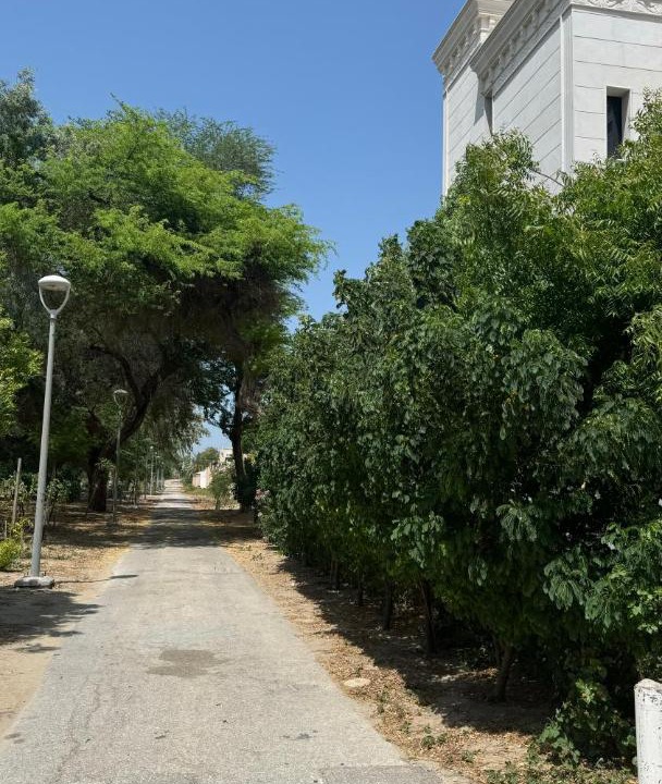 Photo of Others in Al Jubail