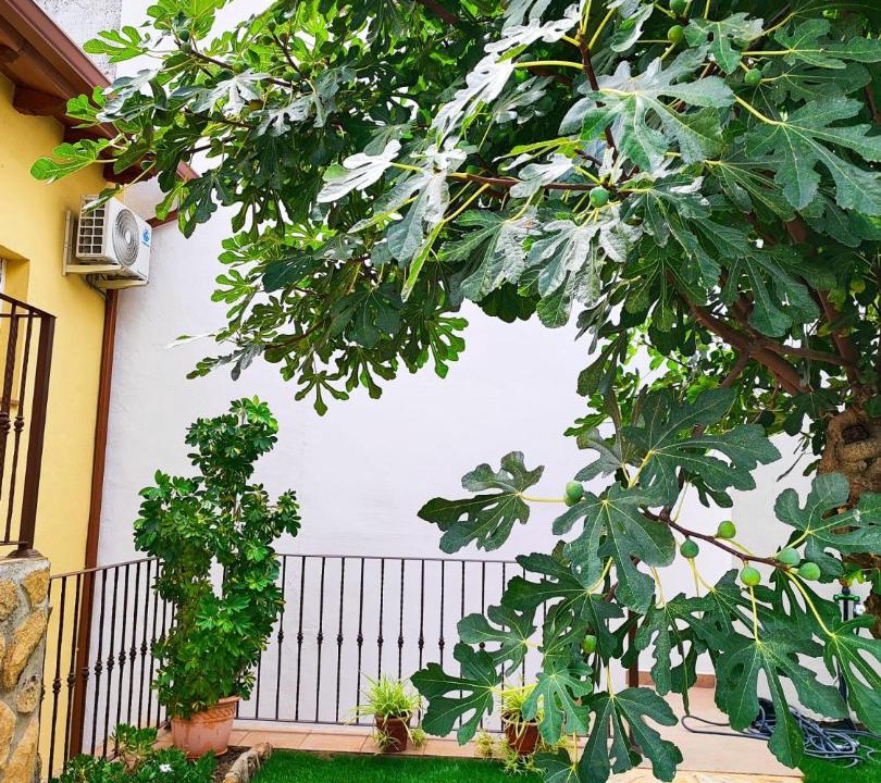 Photo of Buildings in Castillo de Bayuela