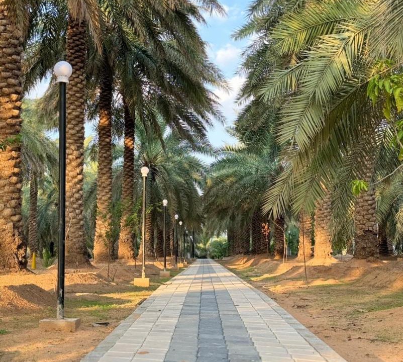 Photo of Others in Buraydah