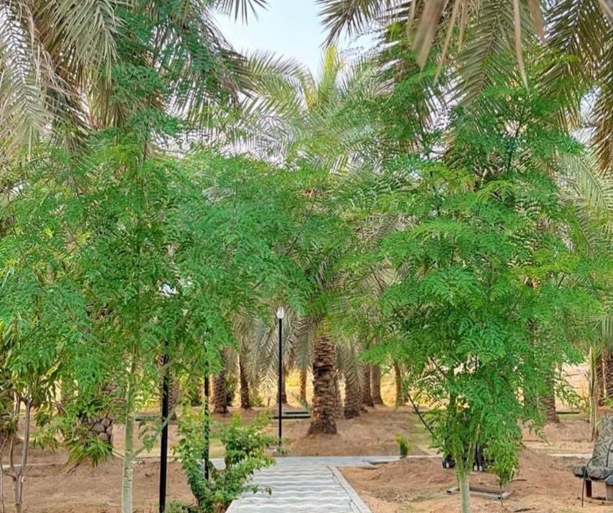 Photo of Others in Buraydah