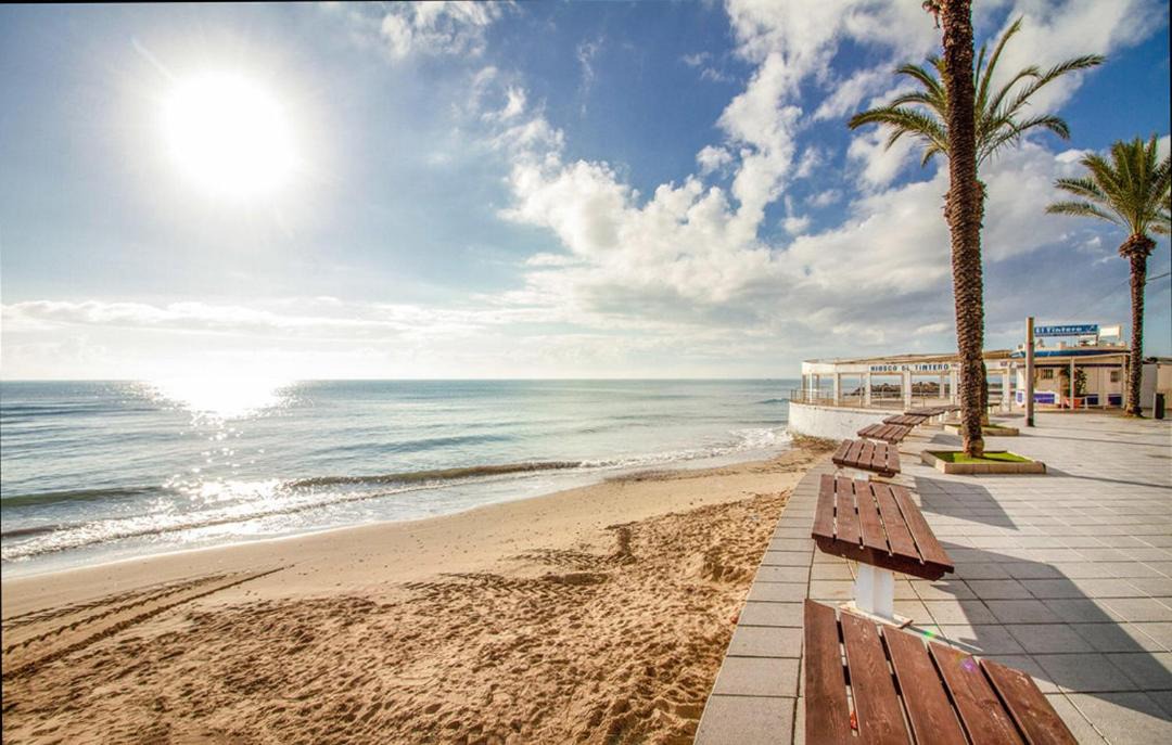 Photo of Others in La Mata