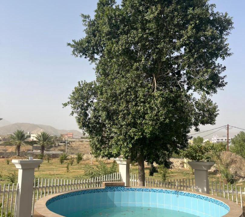 Photo of Others in 'Asir