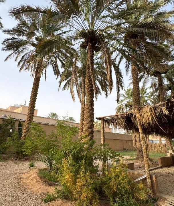 Photo of Others in Al Kharj