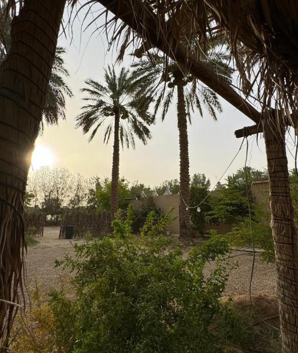 Photo of Others in Al Kharj