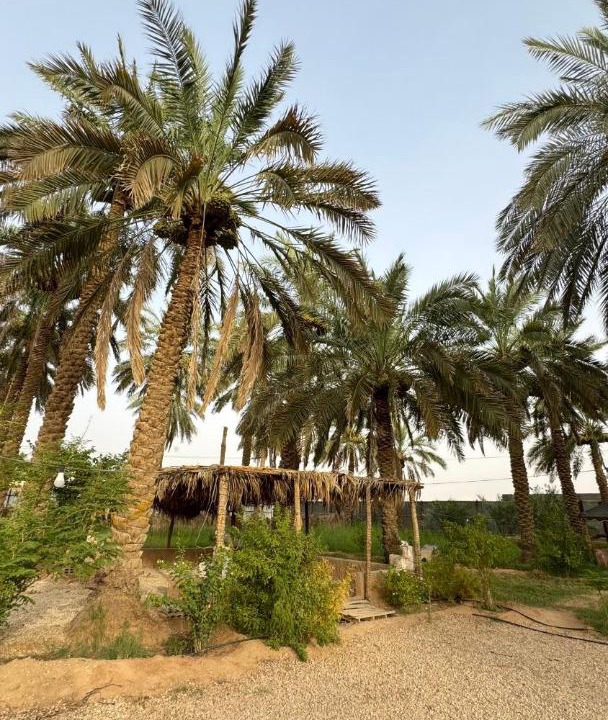 Photo of Others in Al Kharj
