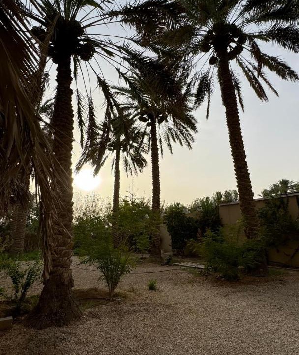 Photo of Others in Al Kharj