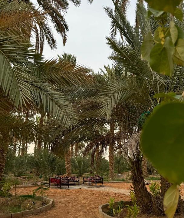 Photo of Others in Al Kharj