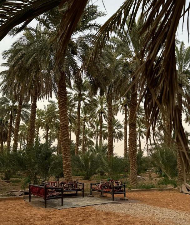 Photo of Others in Al Kharj