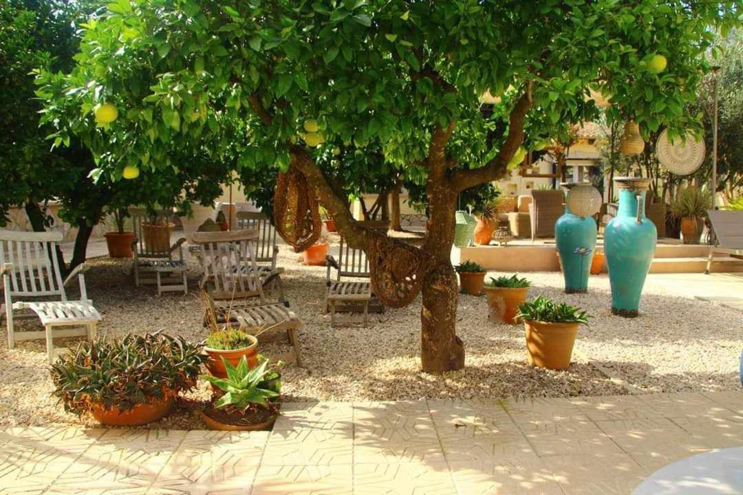 Photo of Others in Orba