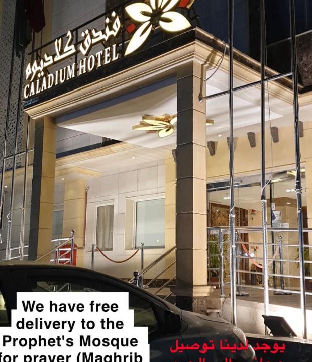 Photo of Others in Al Harra Al-Sharqiah